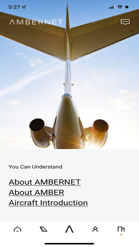 AmberNetapp