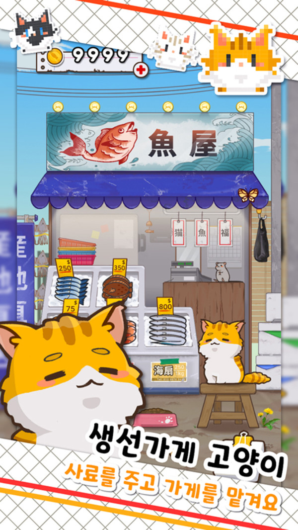 鱼店猫老板