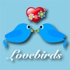 爱情鸟视频在线观看免费观看