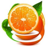 橙子视频最新版下载