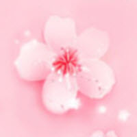 鲜花直播app最新版百度云